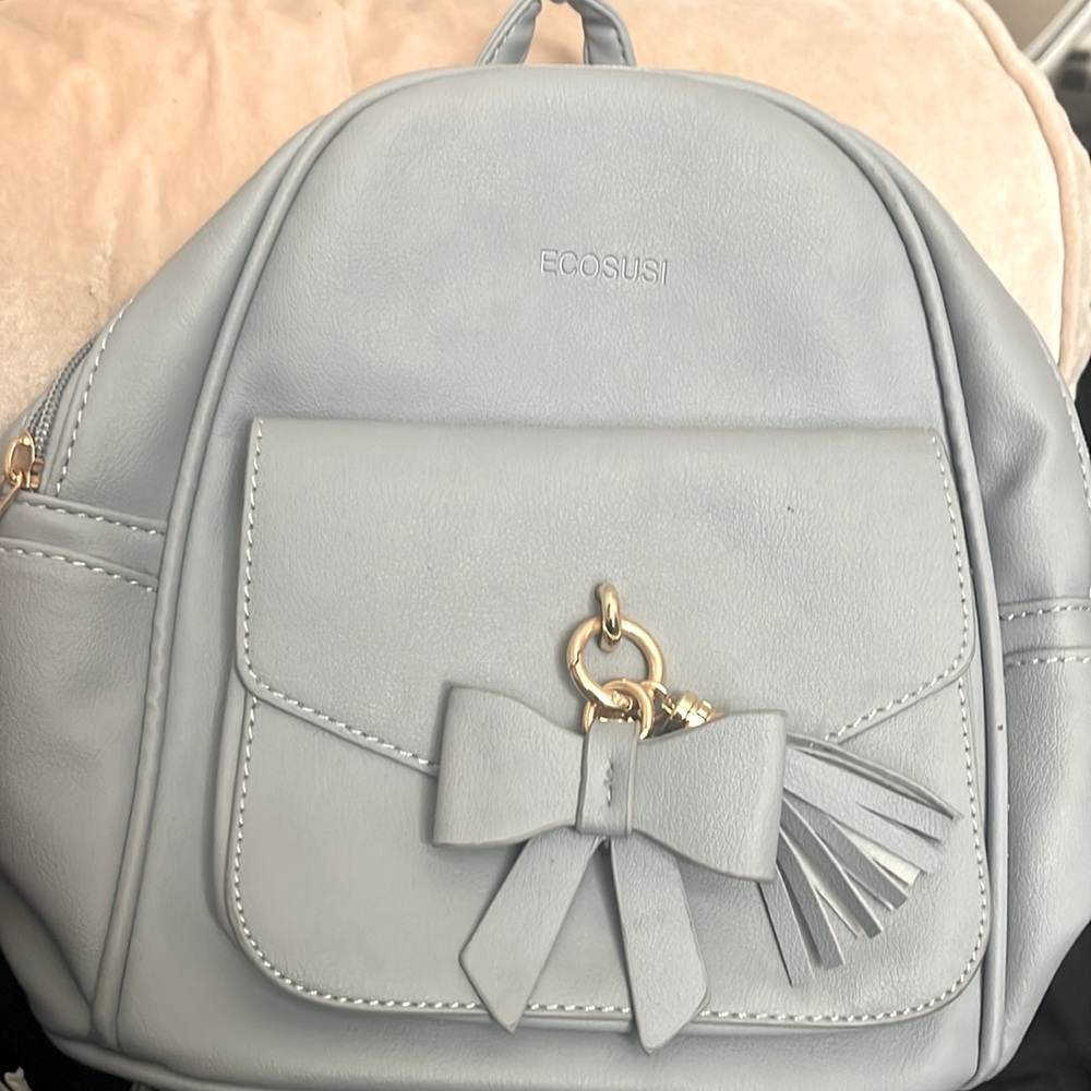 Selling a blue backpack brand ECOSUSI size small perfect for every day on the go